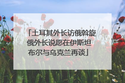 土耳其外长访俄斡旋 俄外长说愿在伊斯坦布尔与乌克兰再谈