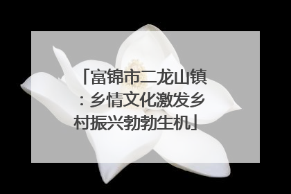 富锦市二龙山镇：乡情文化激发乡村振兴勃勃生机