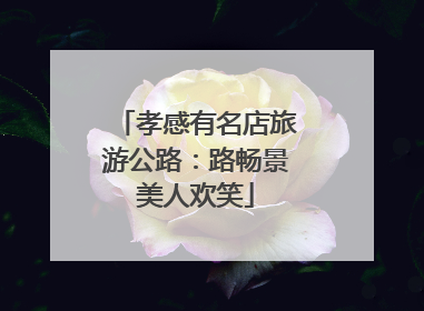 孝感有名店旅游公路：路畅景美人欢笑