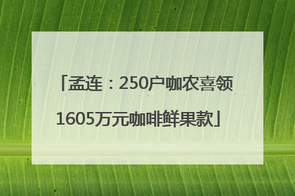 孟连：250户咖农喜领1605万元咖啡鲜果款