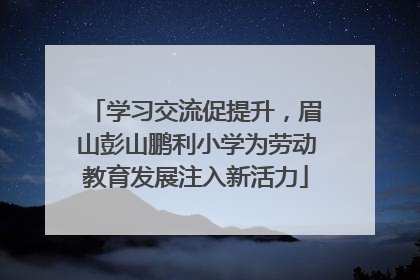 学习交流促提升，眉山彭山鹏利小学为劳动教育发展注入新活力