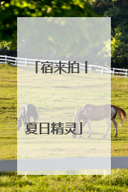 宿来拍丨夏日精灵