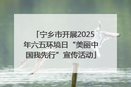 宁乡市开展2025年六五环境日“美丽中国我先行”宣传活动