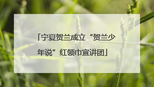 宁夏贺兰成立“贺兰少年说”红领巾宣讲团