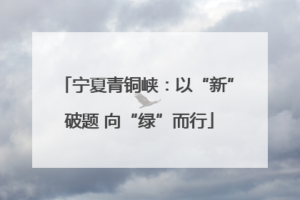宁夏青铜峡：以“新”破题 向“绿”而行