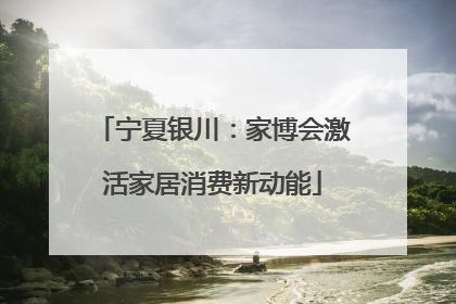 宁夏银川：家博会激活家居消费新动能