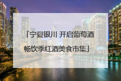 宁夏银川 开启葡萄酒畅饮季红酒美食市集