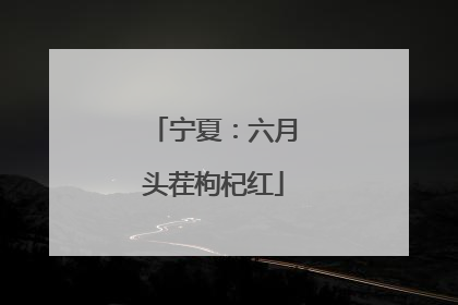 宁夏：六月头茬枸杞红