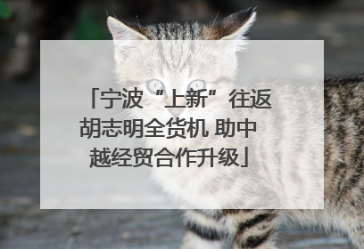 宁波“上新”往返胡志明全货机 助中越经贸合作升级