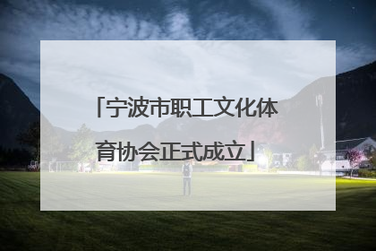 宁波市职工文化体育协会正式成立