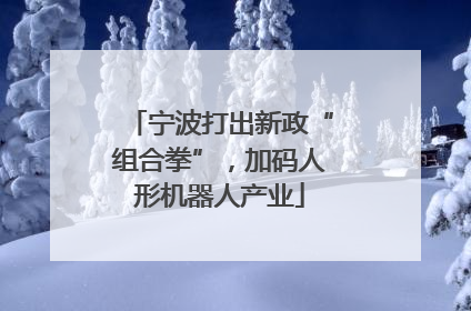 宁波打出新政“组合拳”，加码人形机器人产业