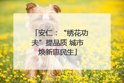 安仁：“绣花功夫”提品质 城市焕新惠民生