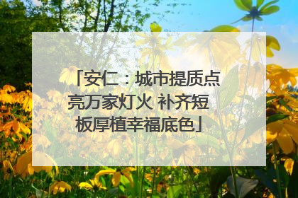 安仁：城市提质点亮万家灯火 补齐短板厚植幸福底色