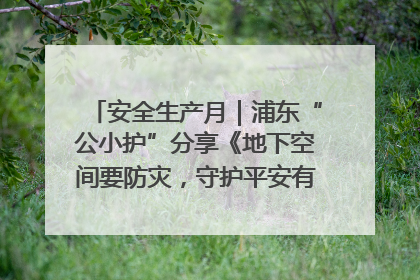 安全生产月｜浦东“公小护”分享《地下空间要防灾，守护平安有我在》安全谣
