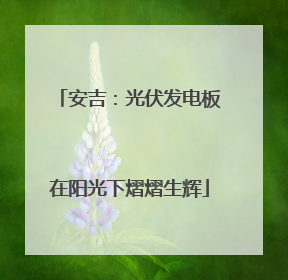 安吉：光伏发电板在阳光下熠熠生辉