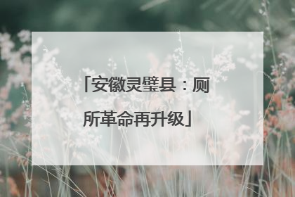 安徽灵璧县：厕所革命再升级