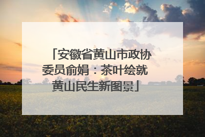 安徽省黄山市政协委员俞娟：茶叶绘就黄山民生新图景