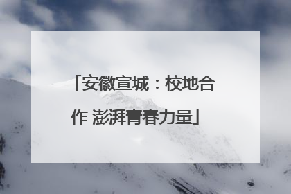 安徽宣城：校地合作 澎湃青春力量