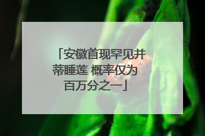 安徽首现罕见并蒂睡莲 概率仅为百万分之一