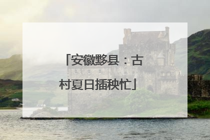 安徽黟县：古村夏日插秧忙