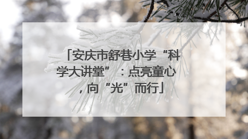 安庆市舒巷小学“科学大讲堂”：点亮童心，向“光”而行