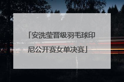 安洗莹晋级羽毛球印尼公开赛女单决赛