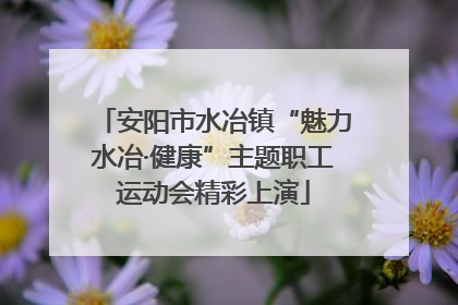 安阳市水冶镇“魅力水冶·健康”主题职工运动会精彩上演
