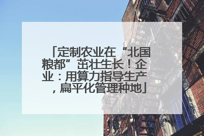 定制农业在“北国粮都”茁壮生长！企业：用算力指导生产，扁平化管理种地