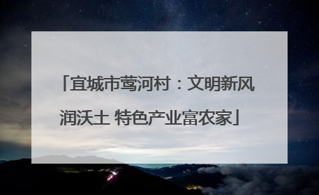 宜城市莺河村：文明新风润沃土 特色产业富农家
