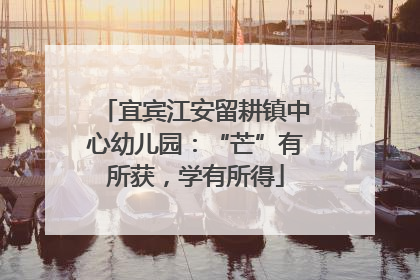 宜宾江安留耕镇中心幼儿园：“芒”有所获，学有所得