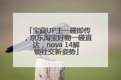 宝藏UP主一碰即传，京东淘宝好物一碰直达，nova 14解锁社交新姿势