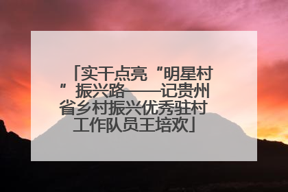 实干点亮“明星村”振兴路——记贵州省乡村振兴优秀驻村工作队员王培欢