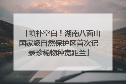 填补空白！湖南八面山国家级自然保护区首次记录珍稀物种宽距兰