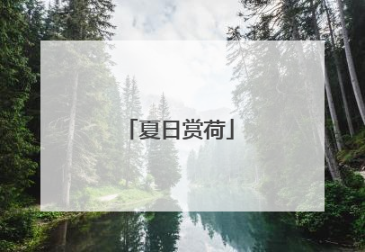 夏日赏荷