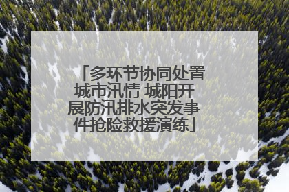 多环节协同处置城市汛情 城阳开展防汛排水突发事件抢险救援演练