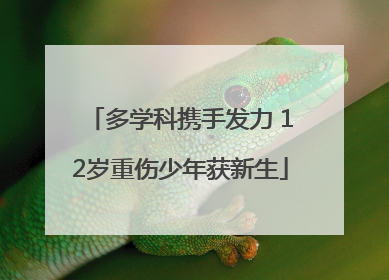 多学科携手发力 12岁重伤少年获新生