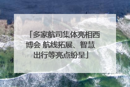 多家航司集体亮相西博会 航线拓展、智慧出行等亮点纷呈
