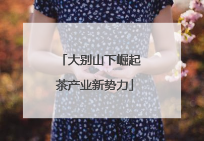大别山下崛起茶产业新势力
