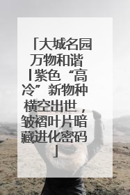 大城名园 万物和谐│紫色“高冷”新物种横空出世，皱褶叶片暗藏进化密码
