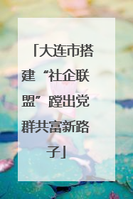 大连市搭建“社企联盟”蹚出党群共富新路子