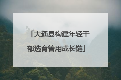 大通县构建年轻干部选育管用成长链