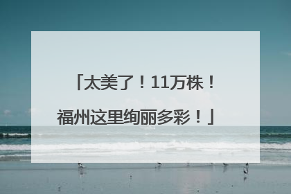 太美了！11万株！福州这里绚丽多彩！