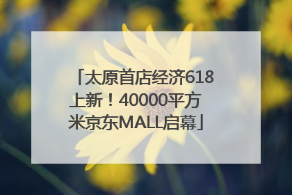 太原首店经济618上新！40000平方米京东MALL启幕