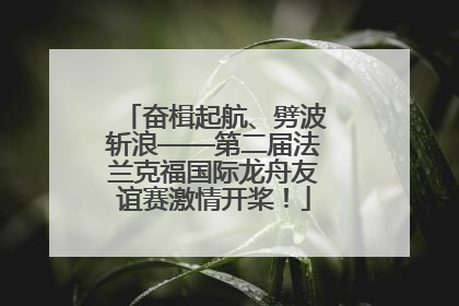 奋楫起航、劈波斩浪——第二届法兰克福国际龙舟友谊赛激情开桨！