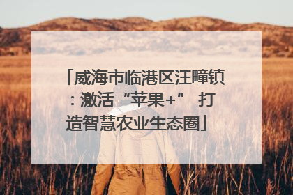 威海市临港区汪疃镇：激活“苹果+” 打造智慧农业生态圈