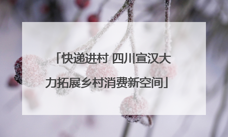 快递进村 四川宣汉大力拓展乡村消费新空间