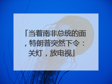 当着南非总统的面,特朗普突然下令:关灯,放电视