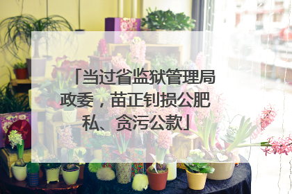 当过省监狱管理局政委，苗正钊损公肥私、贪污公款