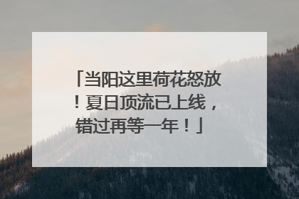 当阳这里荷花怒放！夏日顶流已上线，错过再等一年！