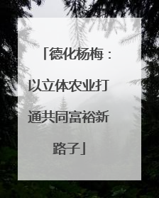 德化杨梅：以立体农业打通共同富裕新路子